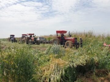 ورود دادستانی به آتش‌سوزی مزارع ایذه