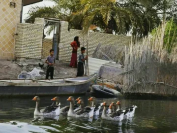 تالاب شادگان خوزستان، آرامش را به وجودتان تزریق می‌کند