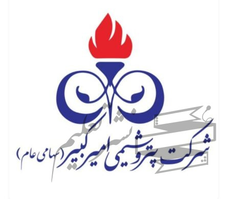 سید حسین سیدی : پتروشیمی امیرکبیر در آستانه پیوستن به هلدینگ خلیج فارس، آگهی عرضه منتشر شد