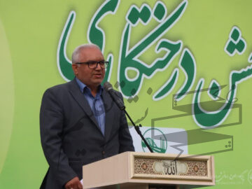 مدیرعامل سازمان پارکها: در ۴ سال گذشته ۴۰۰ هکتار فضای سبز شهر را توسعه دادیم