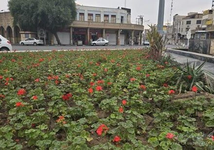 تکمیل عملیات جدولگذاری و ترمیم پیاده روهای میدان شهدا و گلکاری میدان