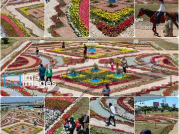 فرش گل ۱۴۰۴ متری اهواز