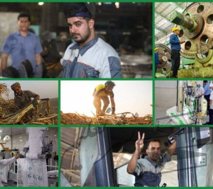 کارگران نیشکر مشغول به کارند؛ صدای مقاومت در سنگر تولید/ در خط مقدم «پدافند» اقتصادی