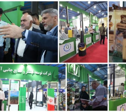 نمایش توانمندی‌های شرکت توسعه نیشکر در نمایشگاه هفته دولت؛ نیشکر با محصولات متنوع در کانون توجه بازدیدکنندگان/ از پایش ماهواره‌ای تا شکر طعم‌دار؛ جلوه‌های نوین نیشکر در تولید پایدار