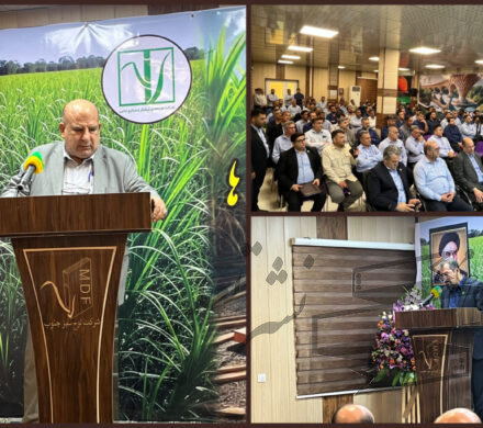 قدردانی مدیرعامل توسعه نیشکر از کارکنان لوح سبز جنوب در ثبت رکورد تاریخی تولید ام.دی.اف؛ امروز «لوح سبز جنوب» افتخار صنعت کشور است