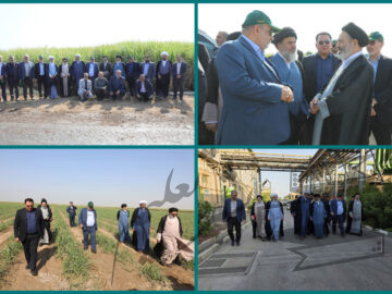 در بازدید نماینده ولی‌فقیه در امور حج و زیارت از کشت و صنعت دعبل خزاعی مطرح شد؛ نیشکر نقش مهمی در اقتصاد و صیانت از محیط‌زیست دارد