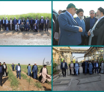 در بازدید نماینده ولی‌فقیه در امور حج و زیارت از کشت و صنعت دعبل خزاعی مطرح شد؛ نیشکر نقش مهمی در اقتصاد و صیانت از محیط‌زیست دارد