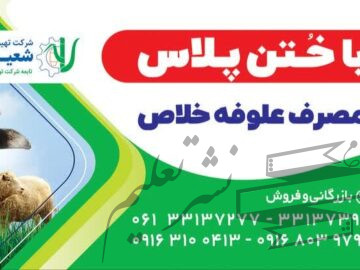 خوراک دام ختن