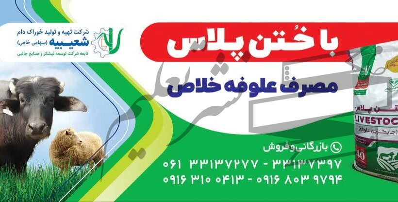 خوراک دام ختن