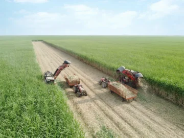 مدیرعامل شرکت توسعه نیشکر خبر داد: برداشت نیشکر از ابتدای فصل، ۱۰۰ درصد سبز انجام شده است/ امسال ناوگان برداشت نیشکر با ۹ هاروستر جدید تقویت شد